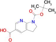 1-[(TERT-BUTOXY)CARBONYL]-1H,2H,3H-PYRROLO[2,3-B]PYRIDINE-5-CARBOXYLIC ACID