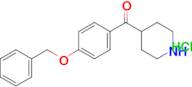 (4-BENZYLOXY-PHENYL)-PIPERIDIN-4-YL-METHANONE HCL