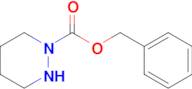 BENZYL TETRAHYDROPYRIDAZINE-1(2H)-CARBOXYLATE