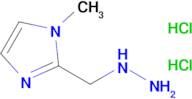 2-(HYDRAZINYLMETHYL)-1-METHYL-1H-IMIDAZOLE 2HCL