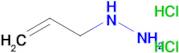 ALLYLHYDRAZINE 2HCL