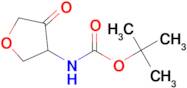 TERT-BUTYL N-(4-OXOOXOLAN-3-YL)CARBAMATE