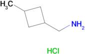 C-(3-METHYL-CYCLOBUTYL)-METHYLAMINE HYDROCHLRIDE