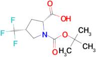 (2R,4R)-1-(TERT-BUTOXYCARBONYL)-4-(TRIFLUOROMETHYL)PYRROLIDINE-2-CARBOXYLIC ACID