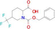 1-((BENZYLOXY)CARBONYL)-5-(TRIFLUOROMETHYL)PIPERIDINE-2-CARBOXYLIC ACID