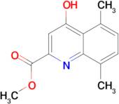 METHYL 4-HYDROXYL-5,8-DIMETHYLQUINOLINE-2-CARBOXYLATE