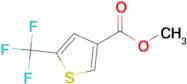 5-TRIFLUOROMETHYL-THIOPHENE-3-CARBOXYLIC ACID METHYL ESTER