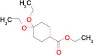 ETHYL 4,4-DIETHOXYCYCLOHEXANE-1CARBOXYLATE