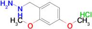 (2,4-Dimethoxybenzyl)hydrazine hydrochloride