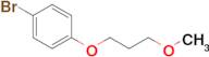 1-BROMO-4-(3-METHOXYPROPOXY)BENZENE