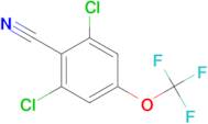 2,6-DICHLORO-4-(TRIFLUOROMETHOXY)BENZONITRILE