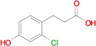 3-(2-CHLORO-4-HYDROXYPHENYL)PROPIONIC ACID