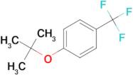 4-(TRIFLUOROMETHYL)-1-TERT-BUTOXYBENZENE