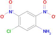 5-CHLORO-2,4-DINITROANILINE