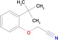 (2-TERT-BUTYL-PHENOXY)ACETONITRILE