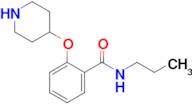 2-(4-PIPERIDINYLOXY)-N-PROPYLBENZAMIDE