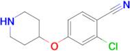2-CHLORO-4-(4-PIPERIDINYLOXY) BENZONITRILE