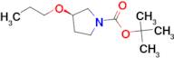 1-BOC-(R)-3-(N-PROPOXY) PYRROLIDINE