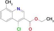 ETHYL 4-CHLORO-8-METHYLQUINOLINE-3-CARBOXYLATE