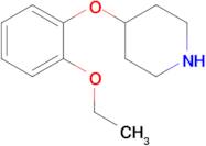 4-(2-ETHOXYPHENOXY)PIPERIDINE