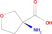 (S)-3-AMINOTETRAHYDROFURAN-3-CARBOXYLIC ACID