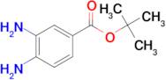 TERT-BUTYL 3,4-DIAMINOBENZOATE