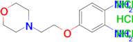 4-(2-MORPHOLINOETHOXY)BENZENE-1,2-DIAMINE 3HCL