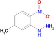 1-(5-METHYL-2-NITROPHENYL)HYDRAZINE