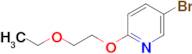 2-(2-ETHOXYETHOXY)-5-BROMOPYRIDINE