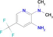 5-(TRIFLUOROMETHYL)-N2,N2-DIMETHYLPYRIDINE-2,3-DIAMINE