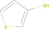 THIOPHENE-3-THIOL