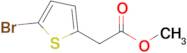 METHYL 2-(5-BROMOTHIOPHEN-2-YL)ACETATE