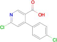 6-CHLORO-4-(4-CHLOROPHENYL)PYRIDINE-3-CARBOXYLIC ACID