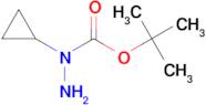 TERT-BUTYL 1-CYCLOPROPYLHYDRAZINECARBOXYLATE