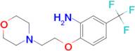 2-(2-Morpholinoethoxy)-5-(trifluoromethyl)aniline