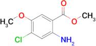 METHYL 2-AMINO-4-CHLORO-5-METHOXYBENZOATE