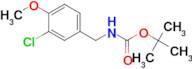 TERT-BUTYL 3-CHLORO-4-METHOXYBENZYLCARBAMATE