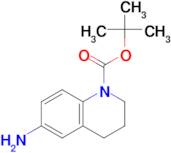 TERT-BUTYL 6-AMINO-3,4-DIHYDROQUINOLINE-1(2H)-CARBOXYLATE