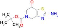 TERT-BUTYL 2-AMINO-7-OXO-6,7-DIHYDROTHIAZOLO[4,5-C]PYRIDINE-5(4H)-CARBOXYLATE