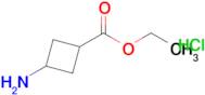 ETHYL 3-AMINOCYCLOBUTANECARBOXYLATE HCL