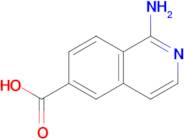 1-AMINOISOQUINOLINE-6-CARBOXYLIC ACID