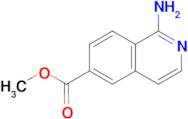 METHYL 1-AMINOISOQUINOLINE-6-CARBOXYLATE