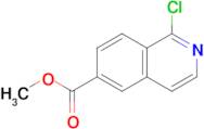 METHYL 1-CHLOROISOQUINOLINE-6-CARBOXYLATE