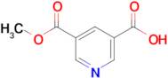 5-(METHOXYCARBONYL)NICOTINIC ACID