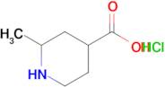 2-METHYLPIPERIDINE-4-CARBOXYLIC ACID HCL