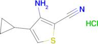 3-AMINO-4-CYCLOPROPYLTHIOPHENE-2-CARBONITRILE HCL