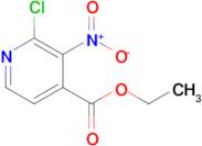 ETHYL 2-CHLORO-3-NITROISONICOTINATE