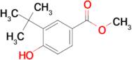 METHYL 3-(TERT-BUTYL)-4-HYDROXYBENZOATE