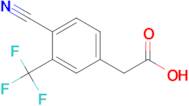 [4-CYANO-3-(TRIFLUOROMETHYL)PHENYL]ACETIC ACID