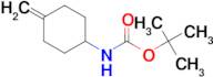 TERT-BUTYL (4-METHYLENECYCLOHEXYL)CARBAMATE